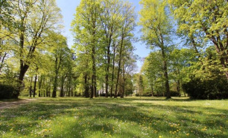 park1 (1).jpg
